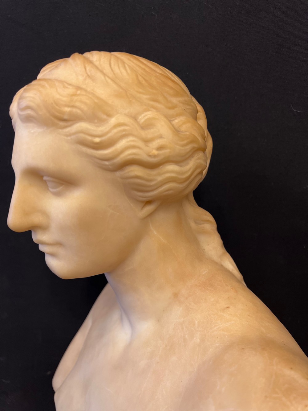C19th Alabaster bust of Venus  View IV