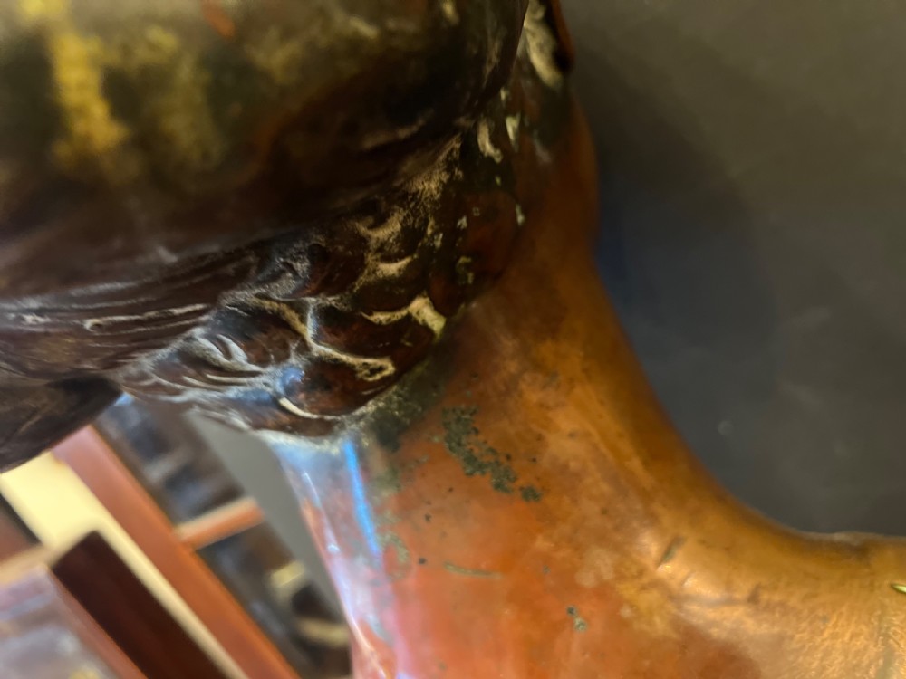 C19th copper bust of a renaissance princess View VII