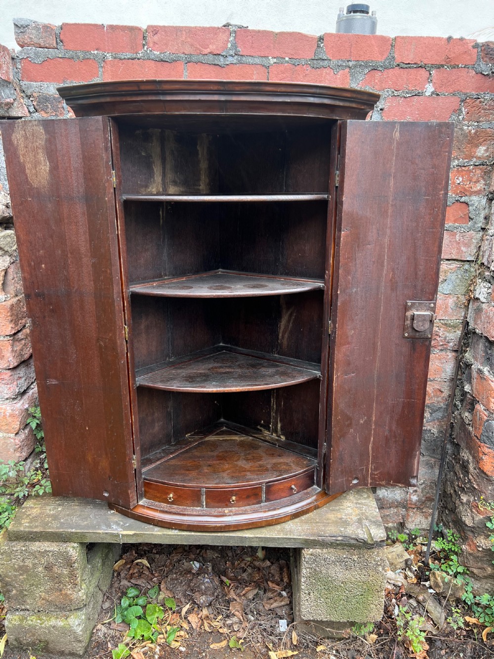 George III Flame mahogany bow fronted corner cupboard  View II