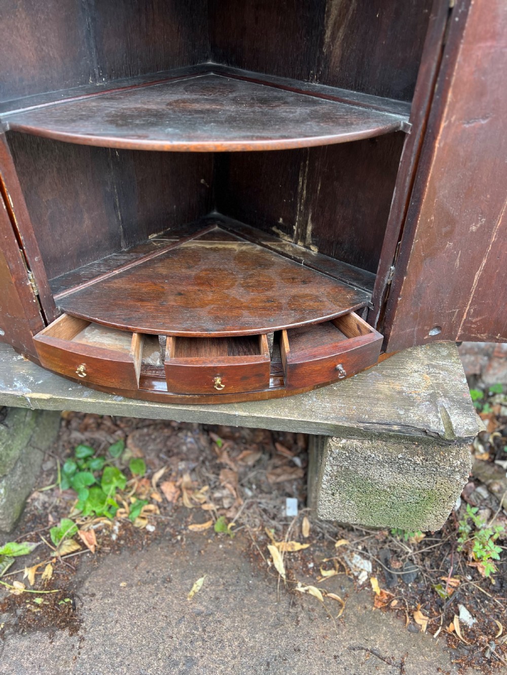 George III Flame mahogany bow fronted corner cupboard  View V