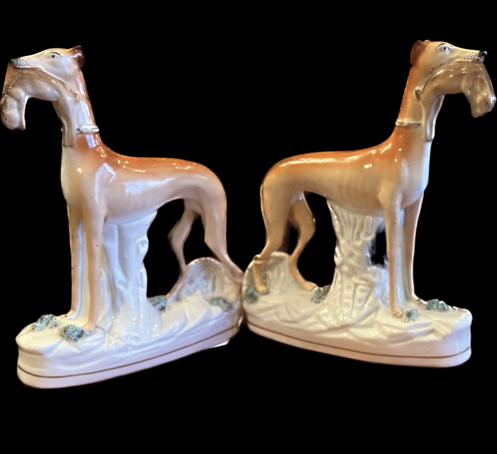 Pair of large Staffordshire greyhounds with hares in their  mouths 