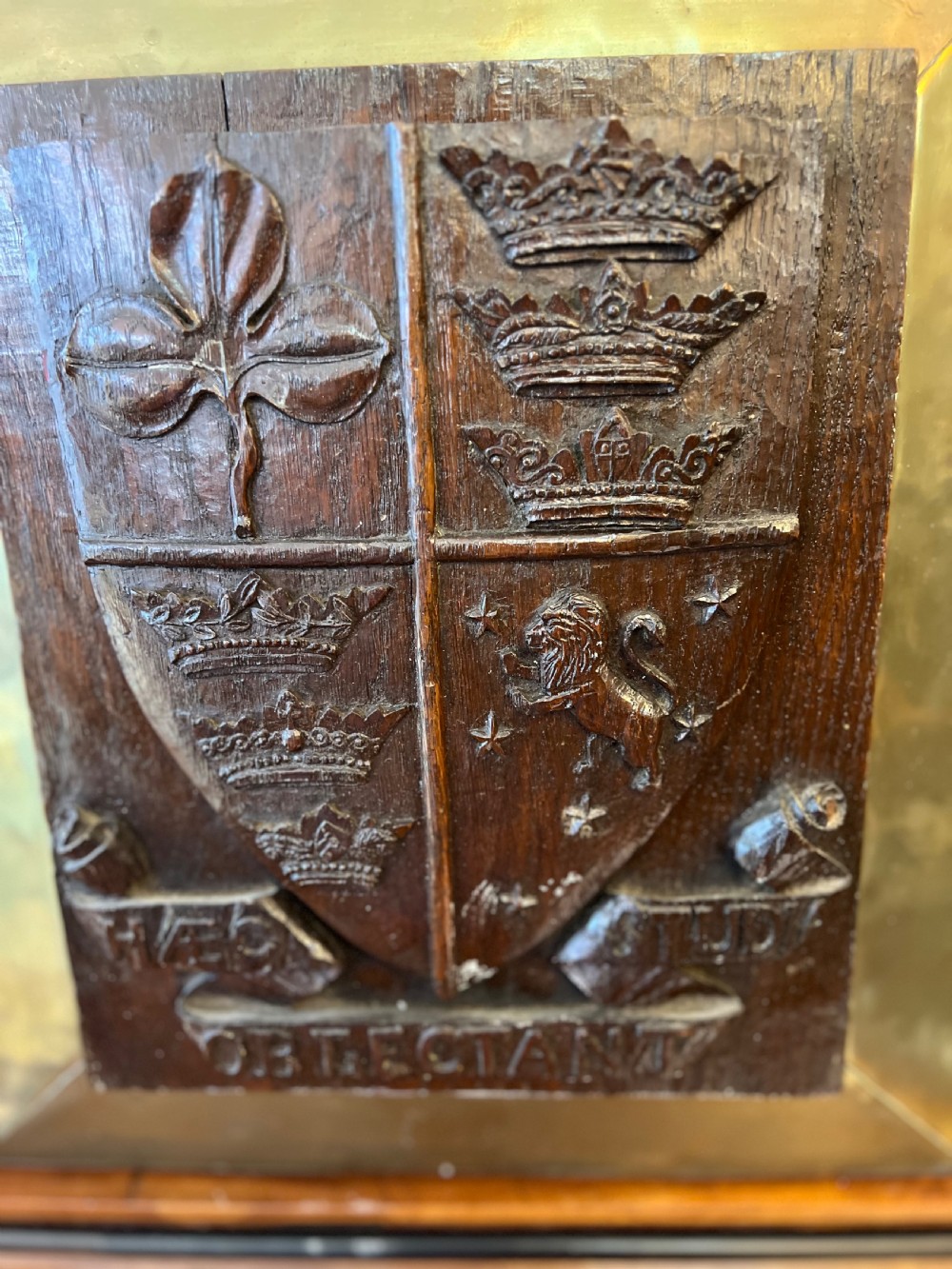 A 19th-century relief carved oak heraldic crest featuring crowns, a trefoil, and a lion rampant, encased in a mitred brass frame. View II