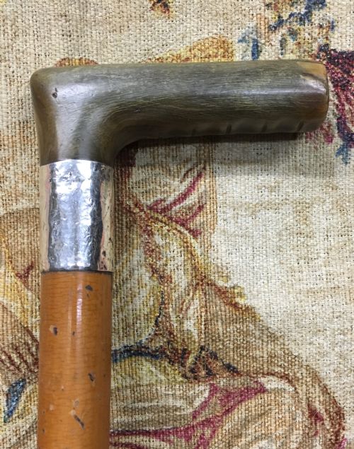 C19th Horn Handled Silver Collared Walking Stick.