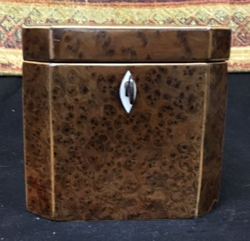C18th Yew Wood Tea Caddy