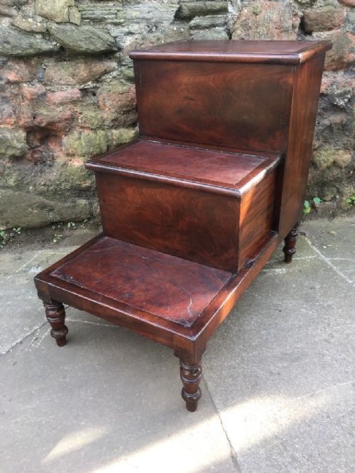 Early C19th Library Steps