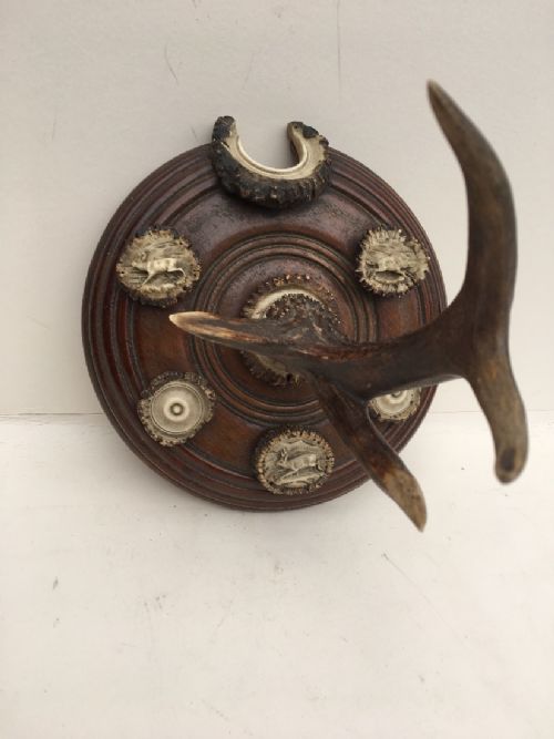 Wall Mounted C19th Stag Horn Clothes Hook