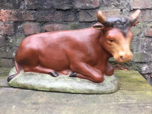 Edwardian Large  Plaster Butchers Shop Window Display Cow