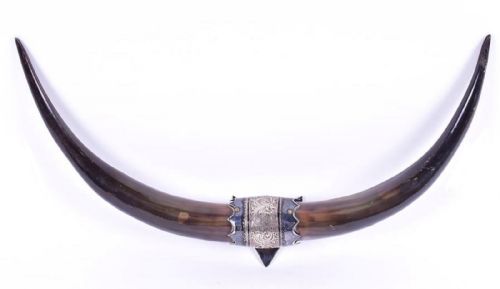 A Decorative Pair of Late 19th / Early 20th Century Wall-mounted Cattle Horns
