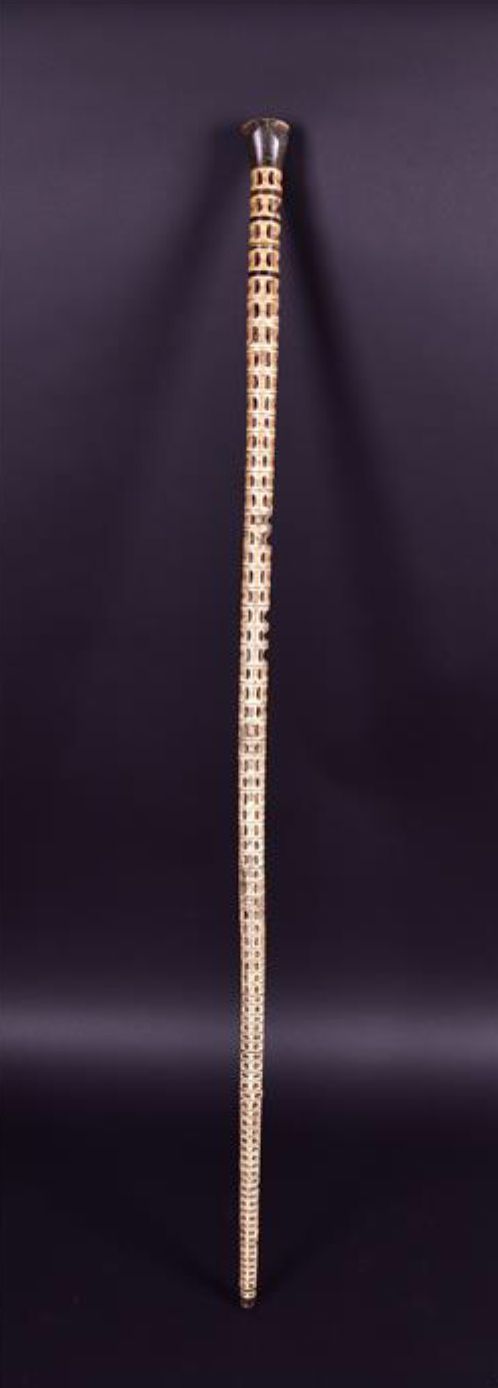 A Marine Vertebrae Walking Stick