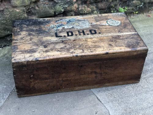 Edwardian Camphorwood  Trunk