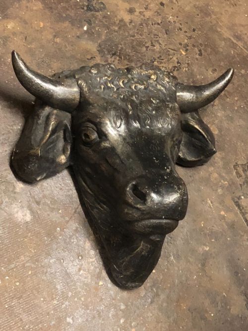 Wall Mounted Bulls Head