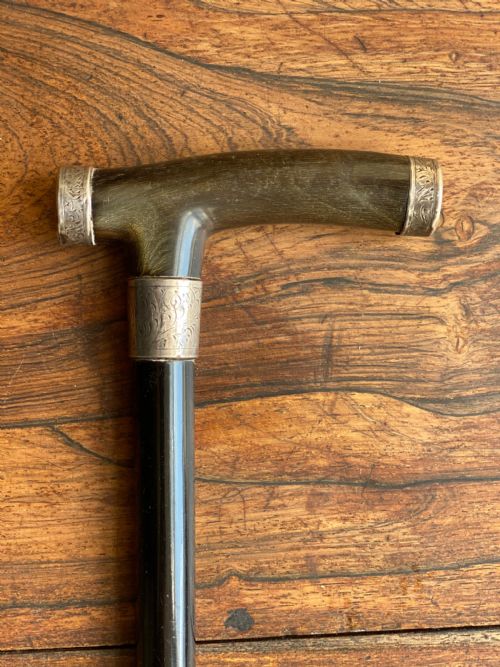 Walking Stick with Bone and Silver Tipped Handle