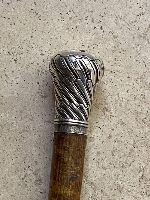 Silver Topped Walking Stick by Briggs of London
