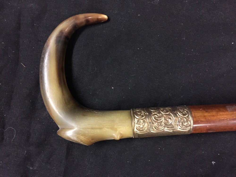 Horn and gold collared walking stick