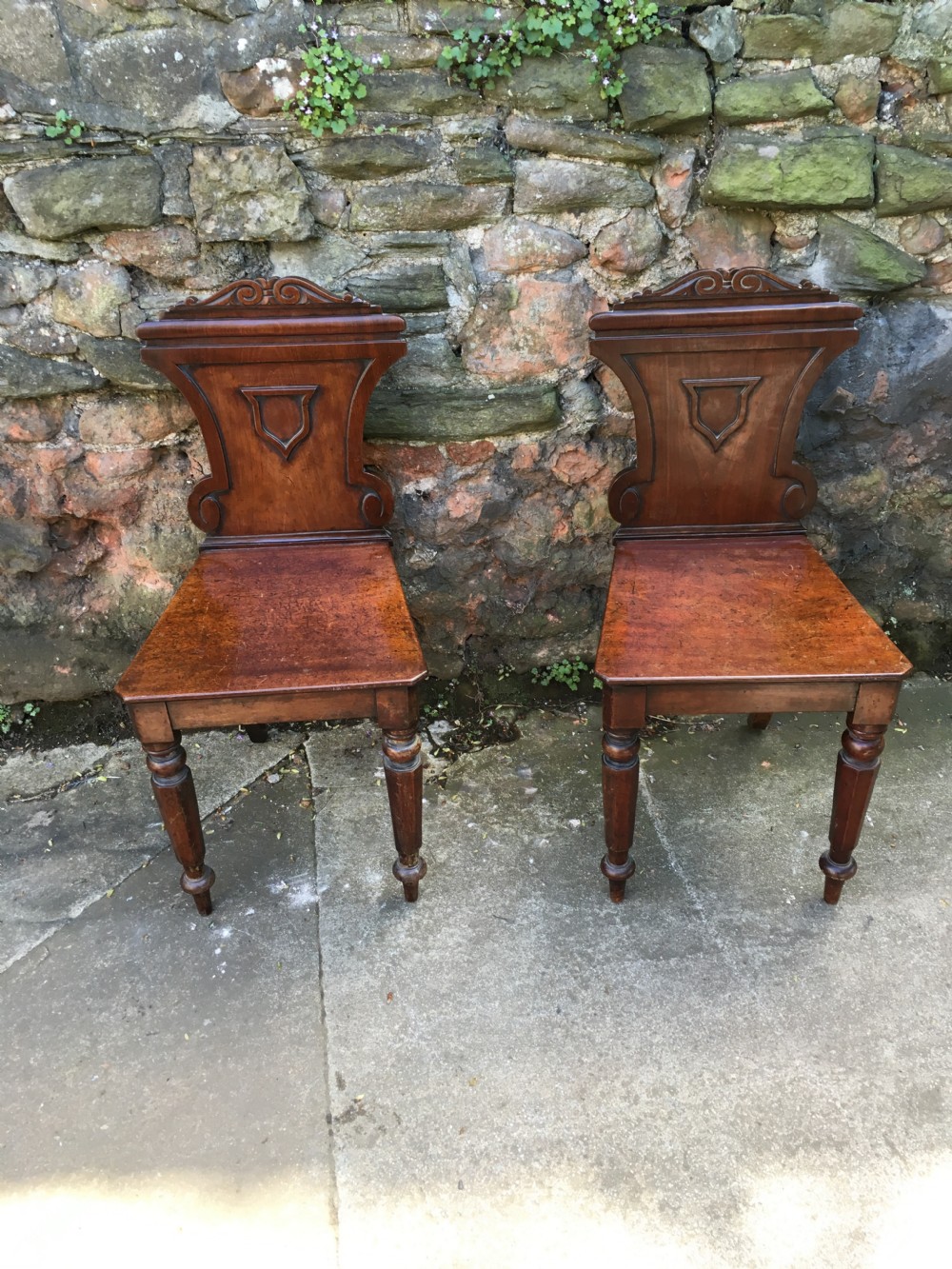 C19th pair of mahogany hall chairs