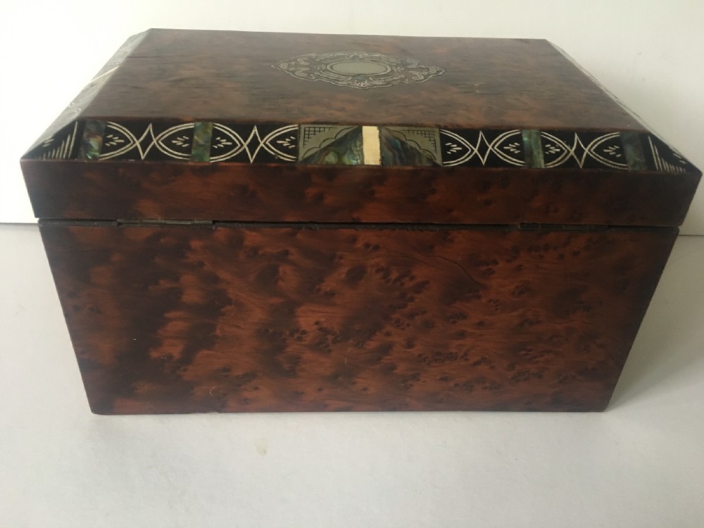 C19th burr amboyna tea caddy  View IV