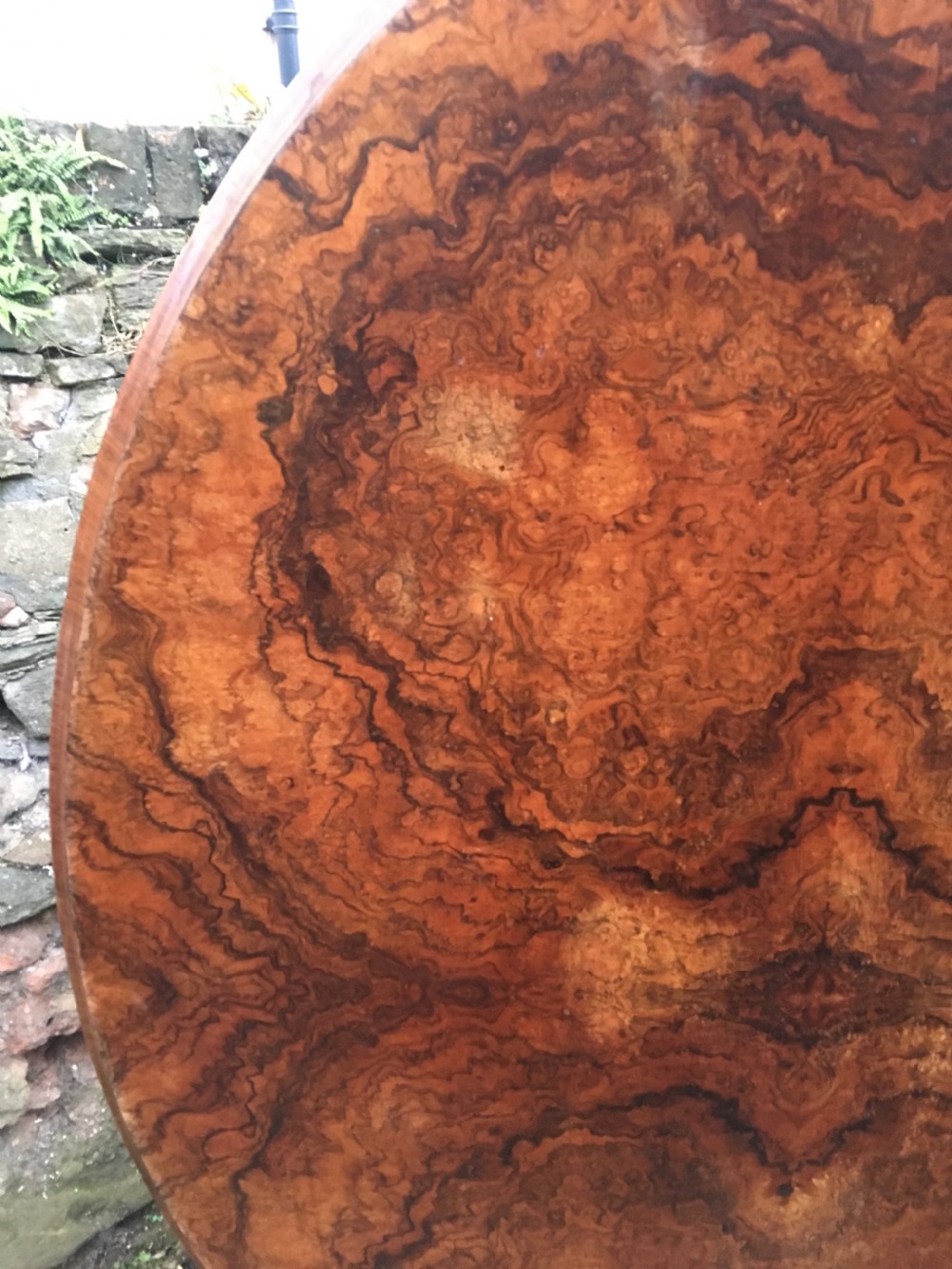 C19th large oval table in figured walnut  View II