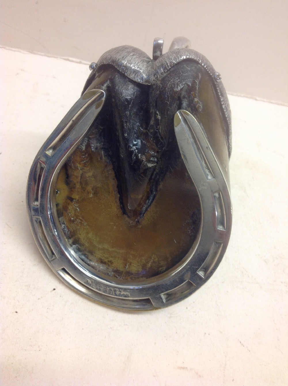 C19th horses hoof modelled as a candlestick View V