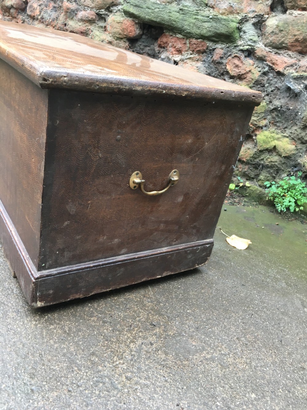 C19th scumble grained pine blanket box  View III