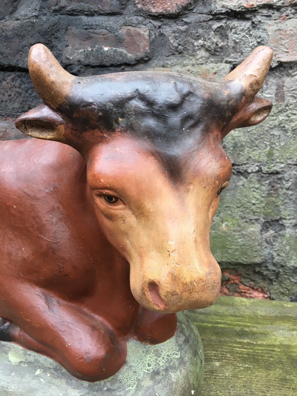 Edwardian large  plaster butchers shop window display cow View II