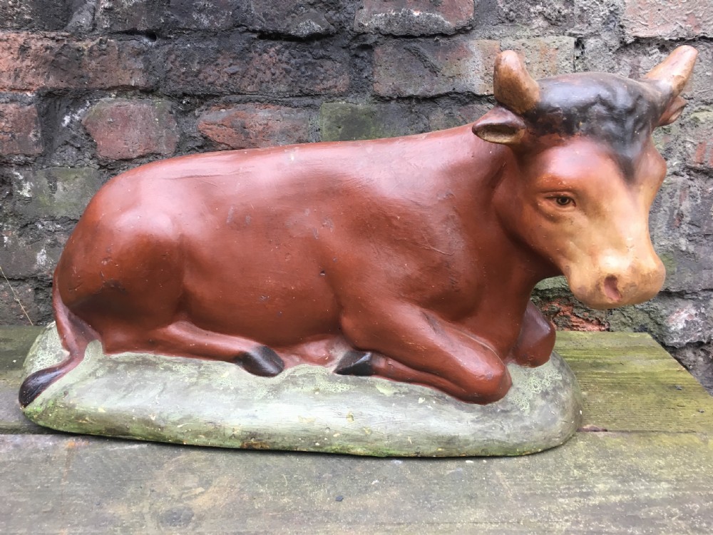 Edwardian large  plaster butchers shop window display cow View IV