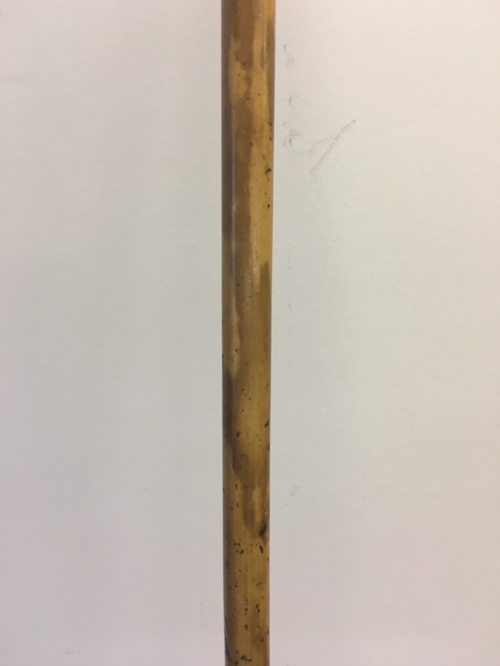 C19th walking cane with white metal embossed handle View X