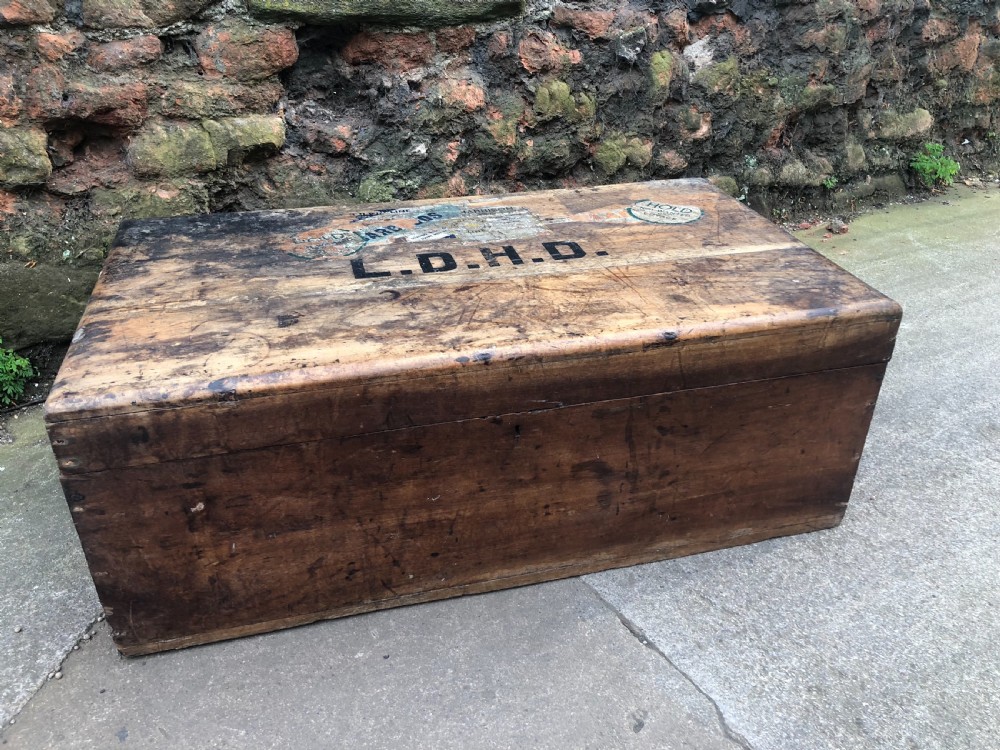 Edwardian Camphorwood  trunk View II