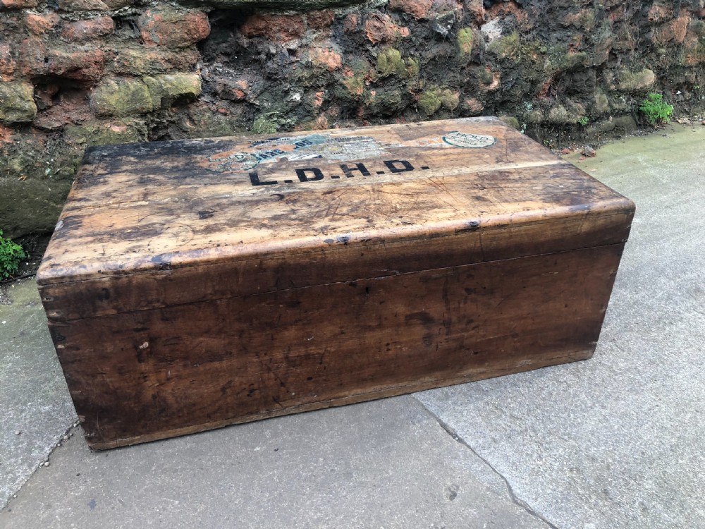 Edwardian Camphorwood  trunk View III