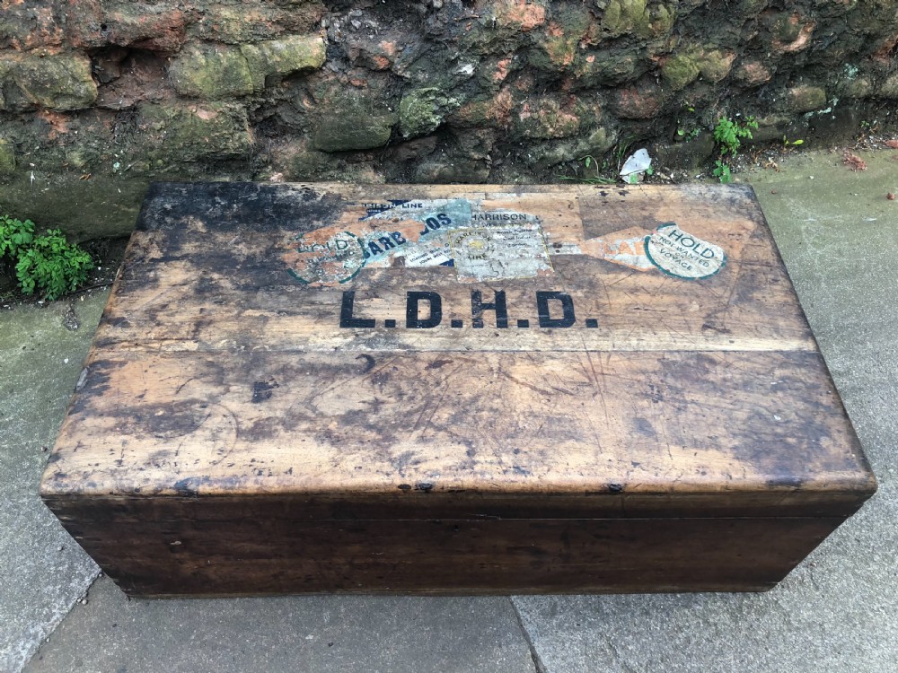 Edwardian Camphorwood  trunk View IV