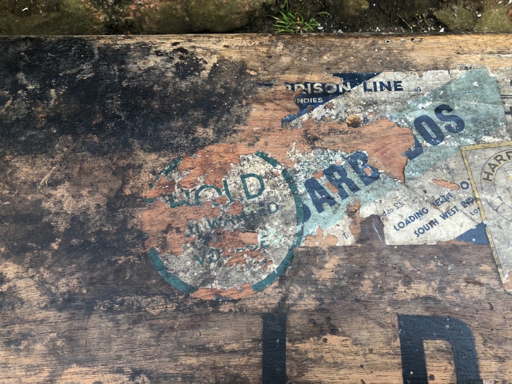 Edwardian Camphorwood  trunk View VI