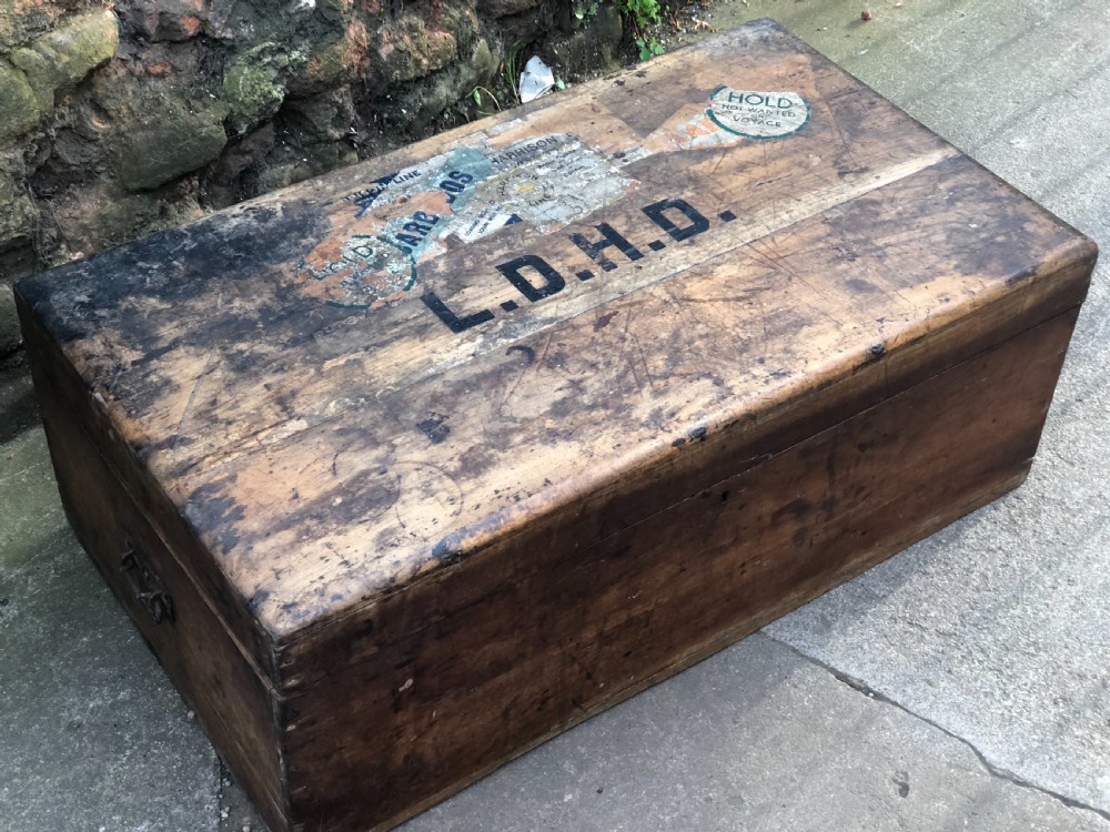 Edwardian Camphorwood  trunk View XI