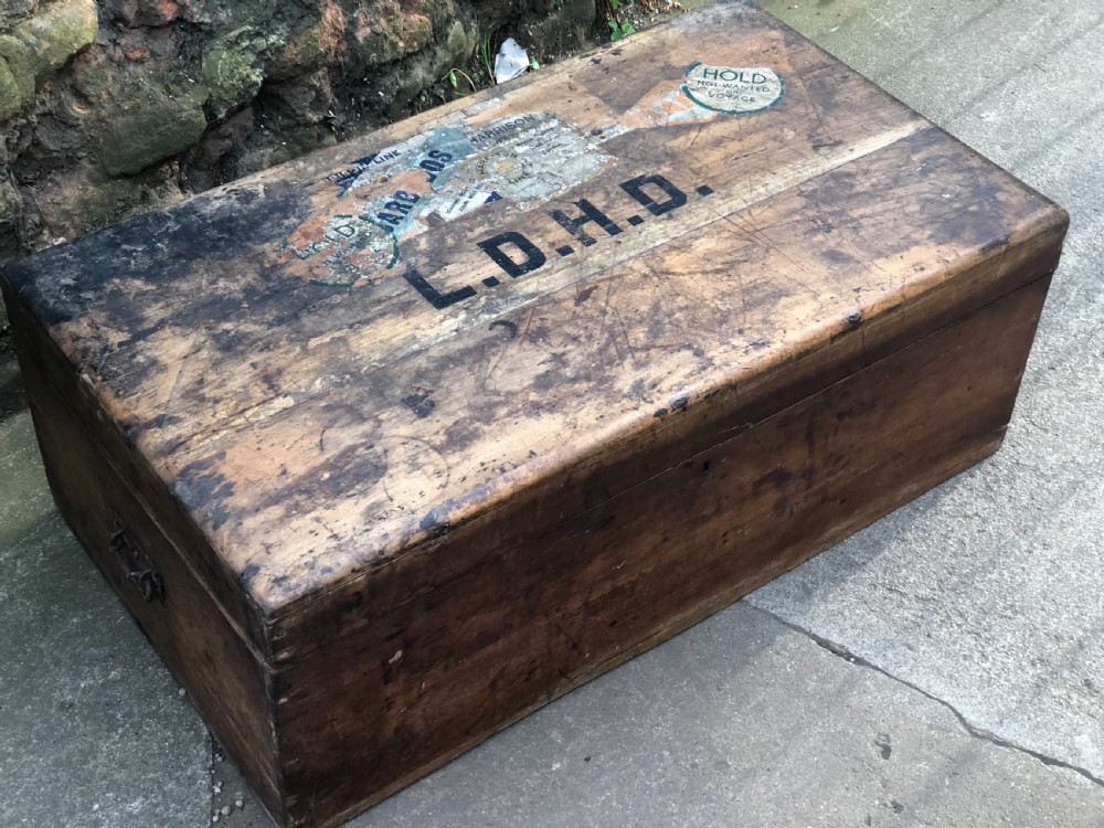 Edwardian Camphorwood  trunk View XII