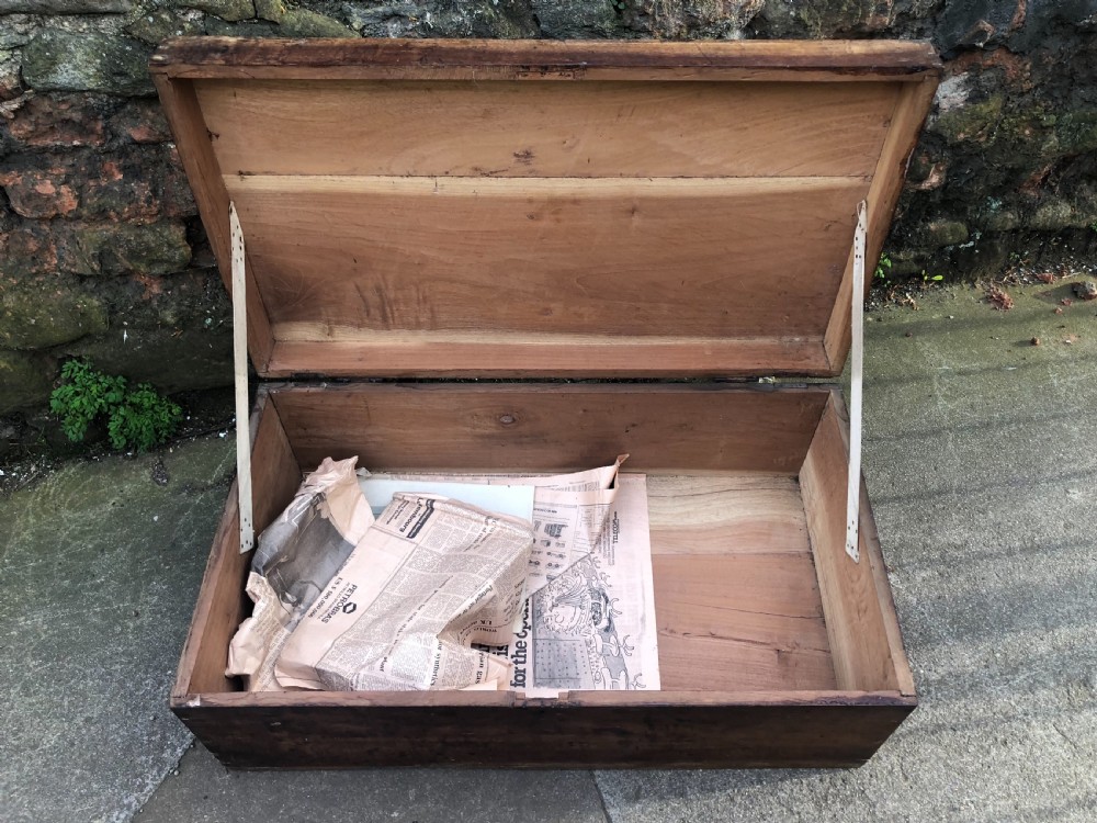 Edwardian Camphorwood  trunk View XIII