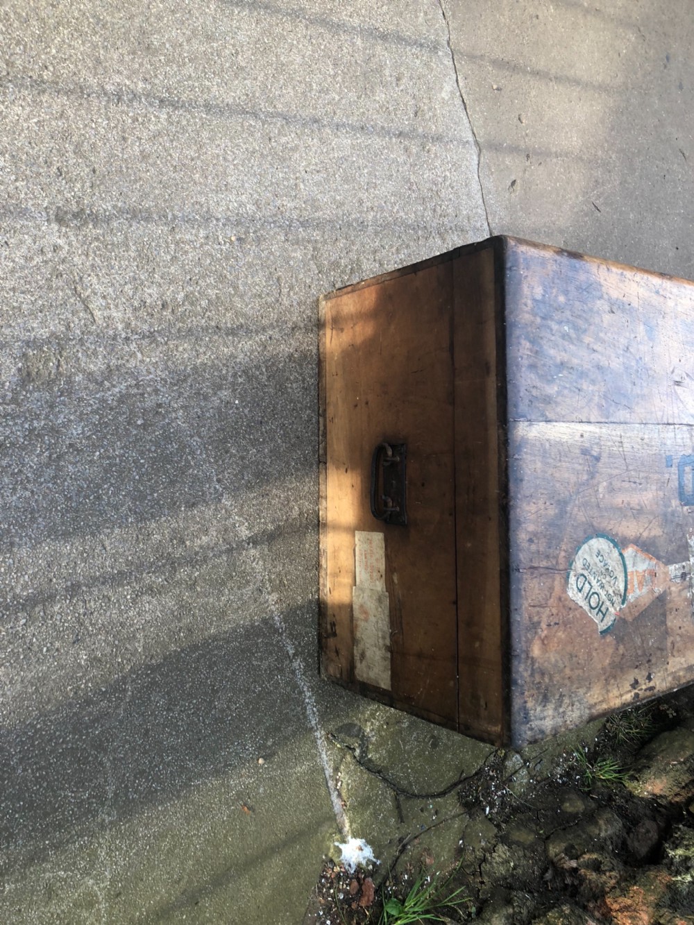 Edwardian Camphorwood  trunk View XV
