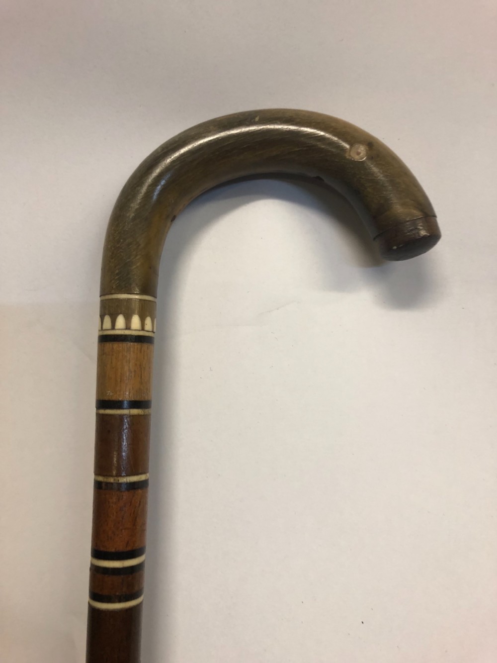 C19th specimen wood walking stick 