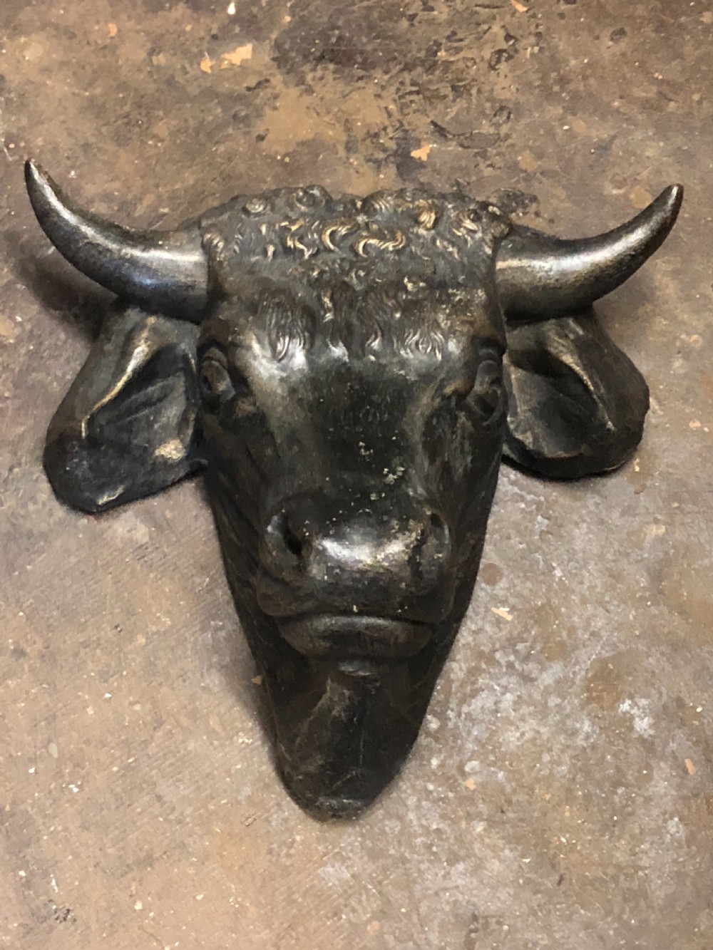Wall mounted bulls head  View II