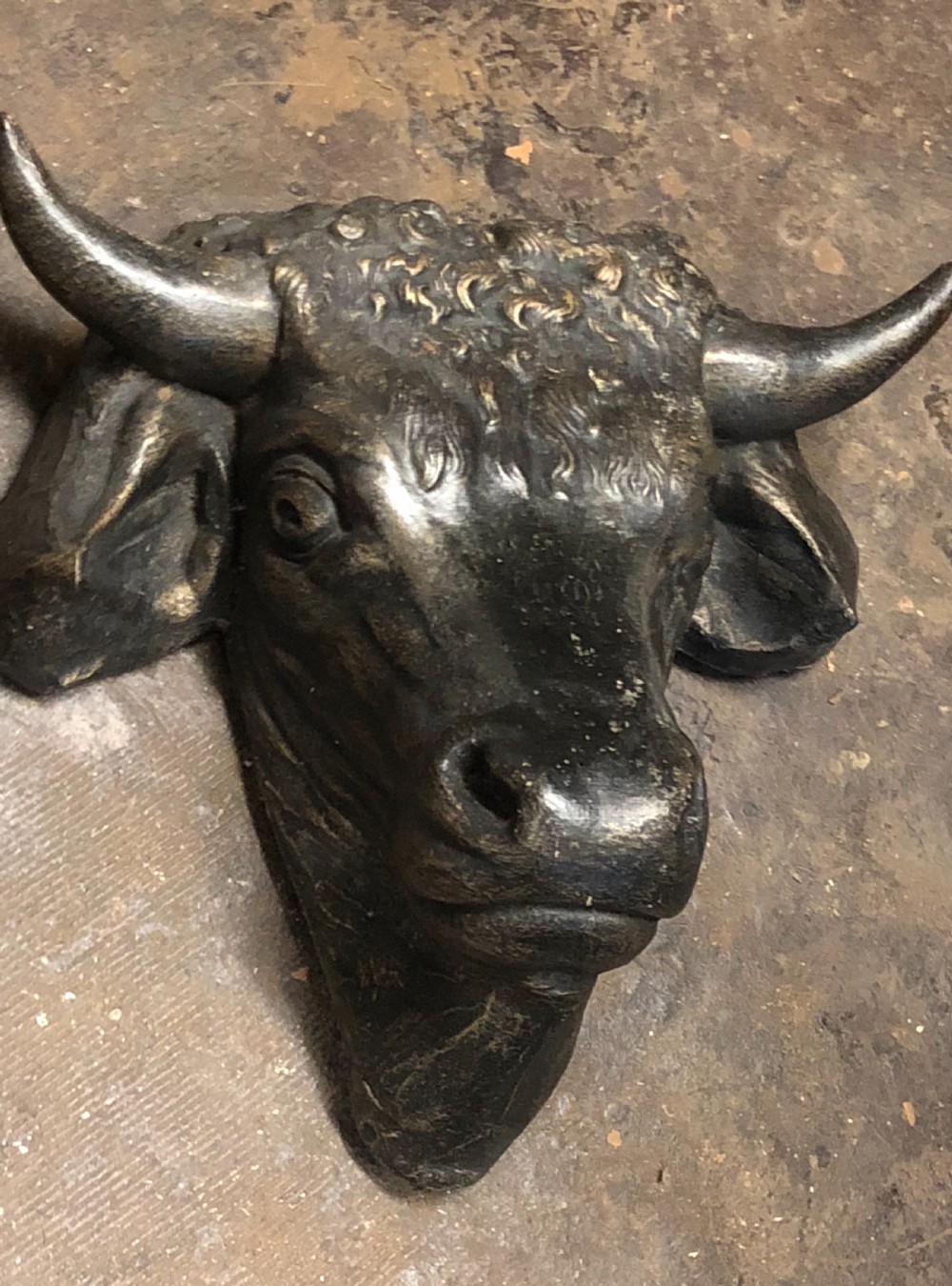 Wall mounted bulls head  View III