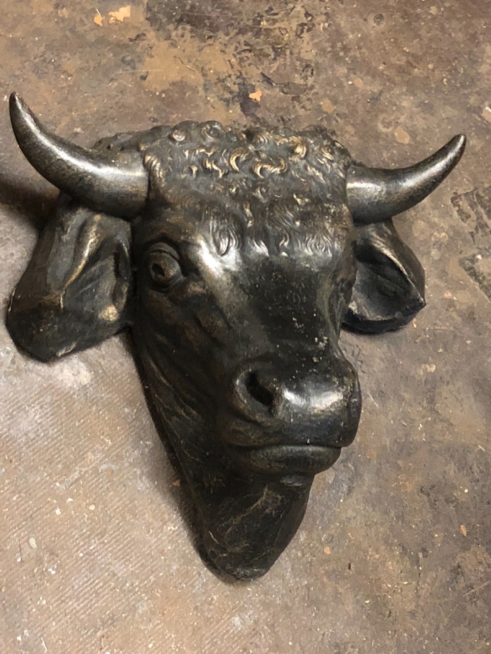 Wall mounted bulls head  View IV