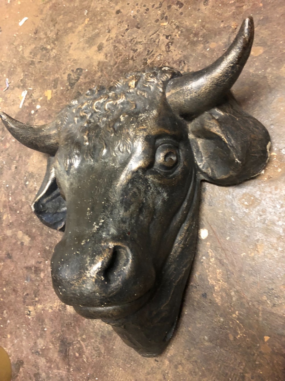 Wall mounted bulls head  View VII