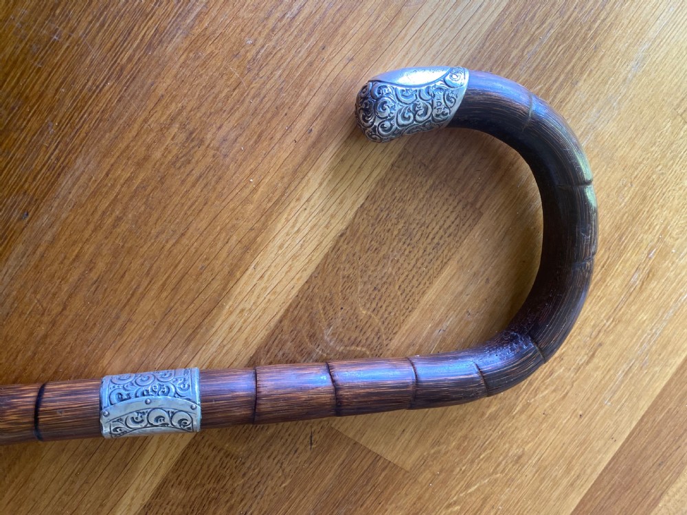 Silver collared and tipped palm wood walking stick View VI