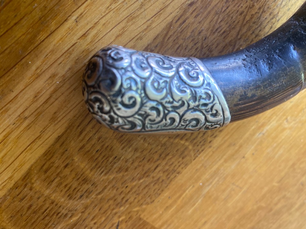 Silver collared and tipped palm wood walking stick View VII