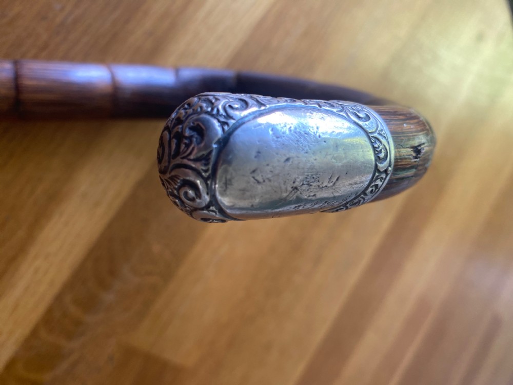 Silver collared and tipped palm wood walking stick View VIII