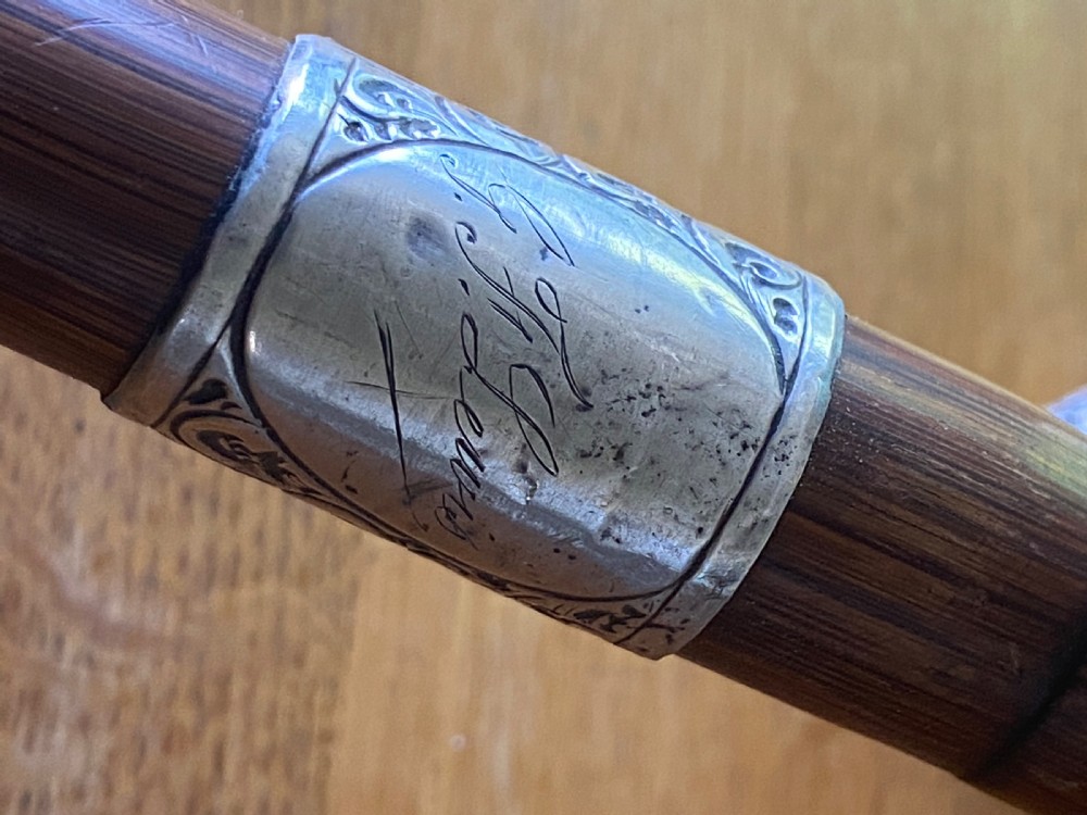 Silver collared and tipped palm wood walking stick View XI