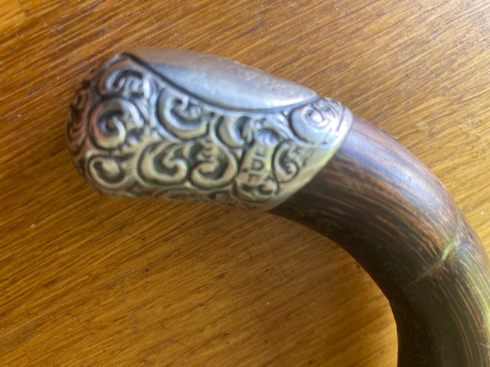 Silver collared and tipped palm wood walking stick View XII