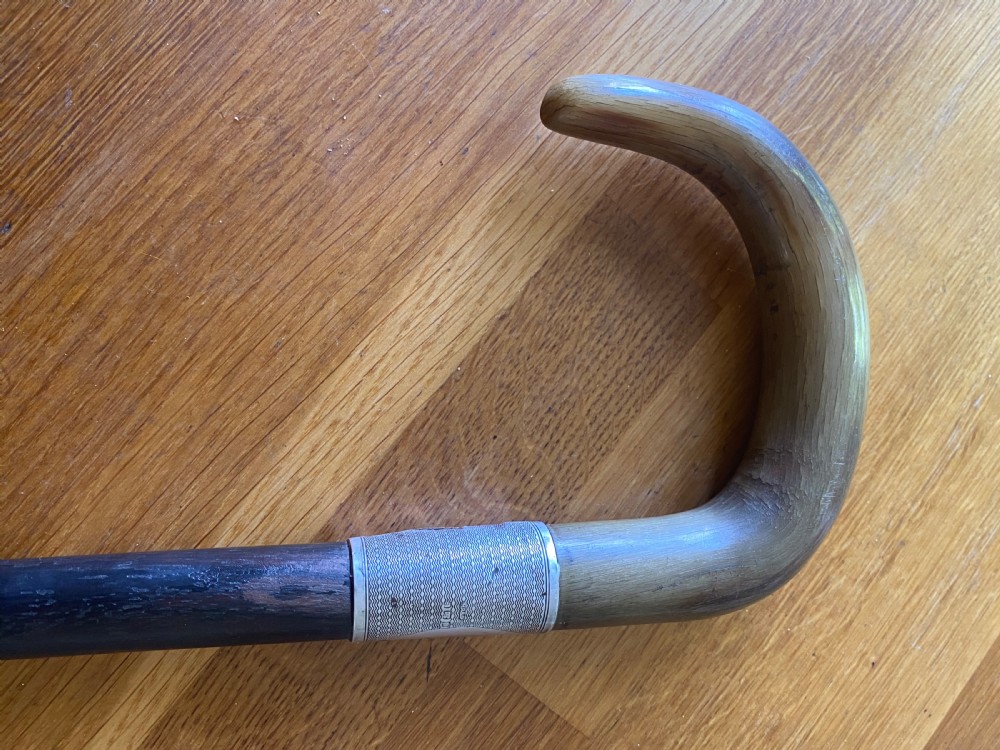 Horn handled hallmarked silver collared walking stick  View IV