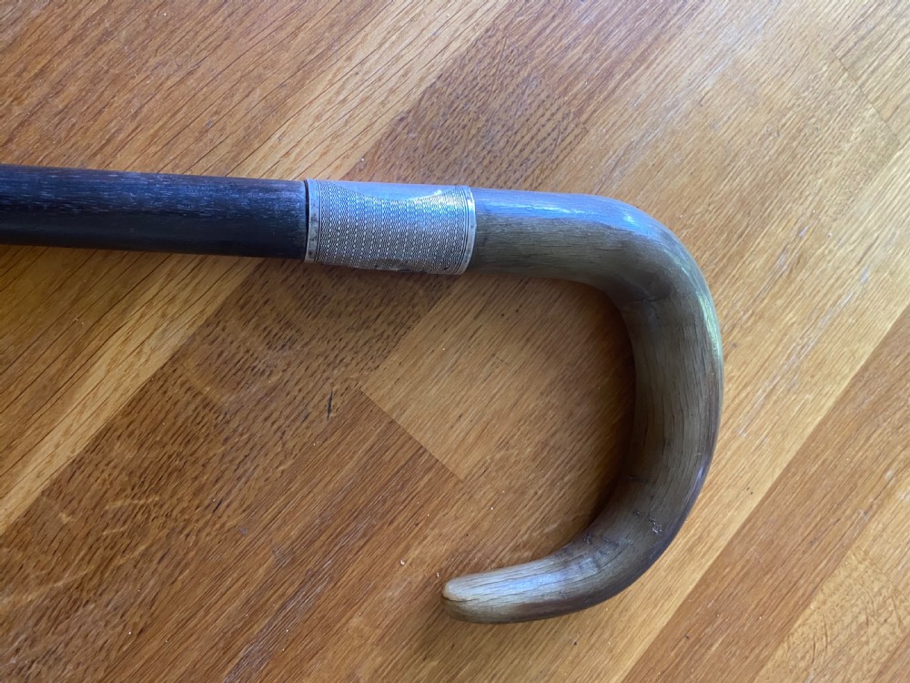 Horn handled hallmarked silver collared walking stick  View V