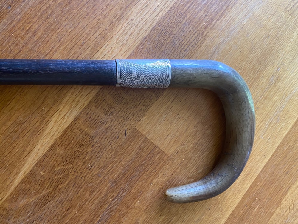 Horn handled hallmarked silver collared walking stick  View VI