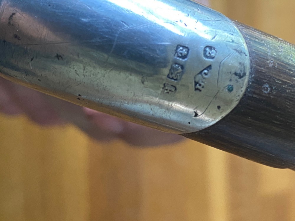 Silver topped palm wood walking stick  View VIII