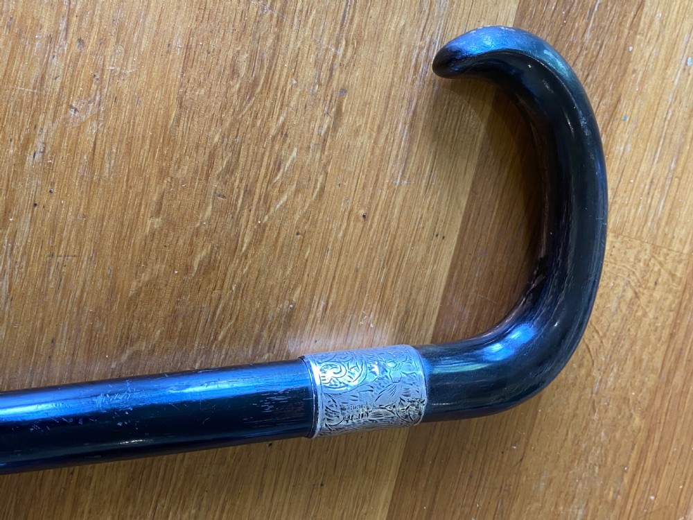 Walking stick horn handle hallmarked collar View IV