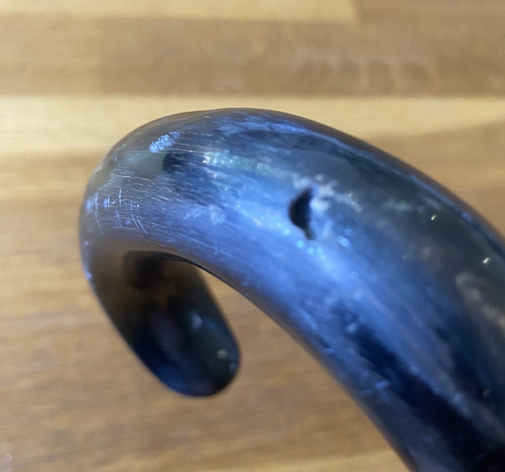 Walking stick horn handle hallmarked collar View VI